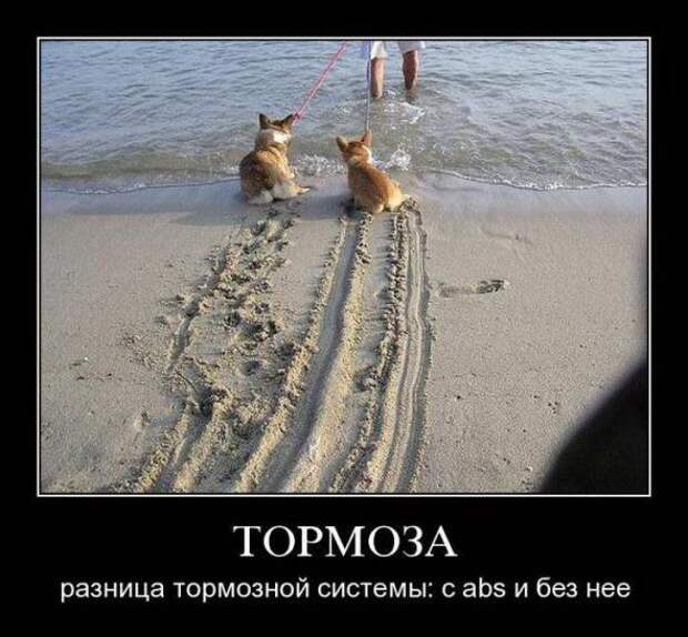 Подборка классных демотиваторов № 98