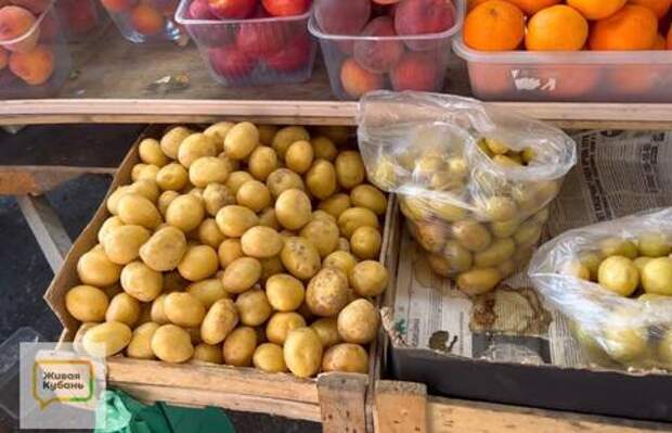Молодой картофель 150 рублей: цены на рынке курорта Краснодарского края