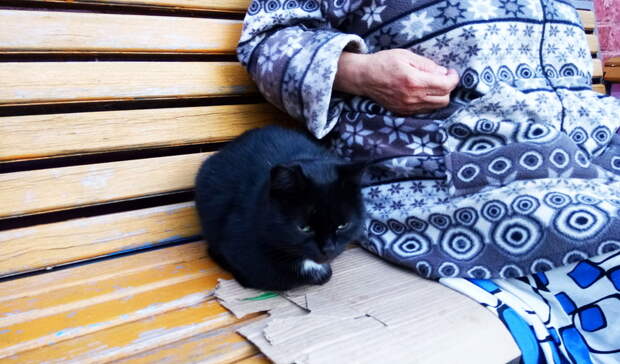 Пенсии россиян вырастут: у кого и на сколько?