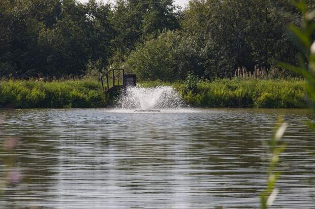 Безопасные водоемы для купания: список рекомендованных мест в Свердловской области