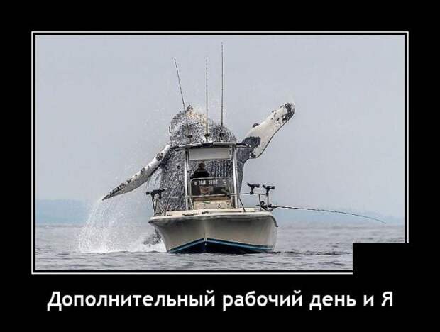 Демотиватор про рабочий день