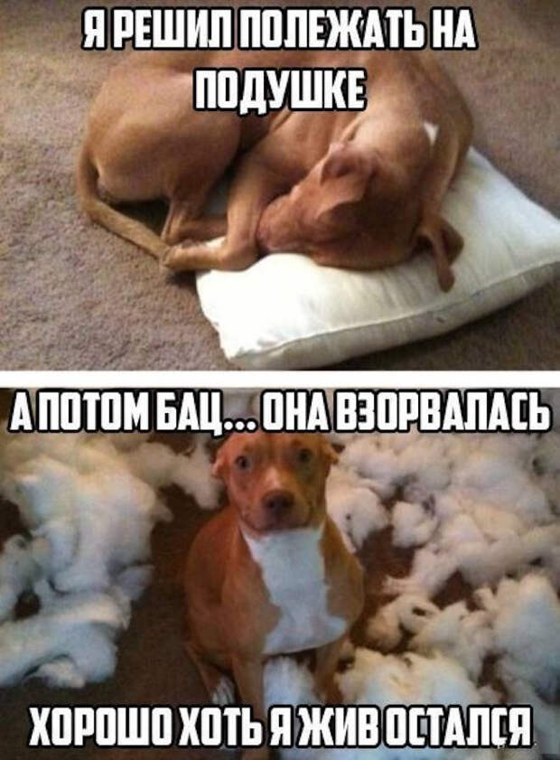 мем