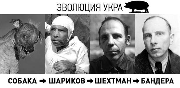 up22059-S_R_R_R_S_S_ReS__S_RieS_R_.jpg