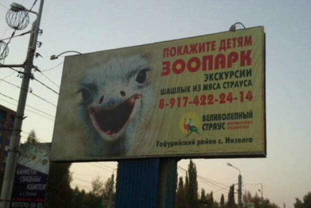 Жестокий зоопарк. Жестокий зоопарк.