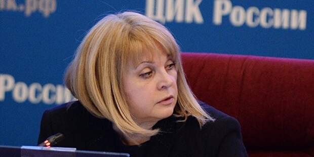 Памфилова назвала политически нечистоплотным заявление Яблока по Ройзману
