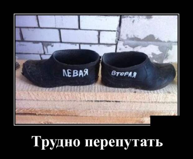 Свежие и веселые демотиваторы для поднятия настроения (10 фото)