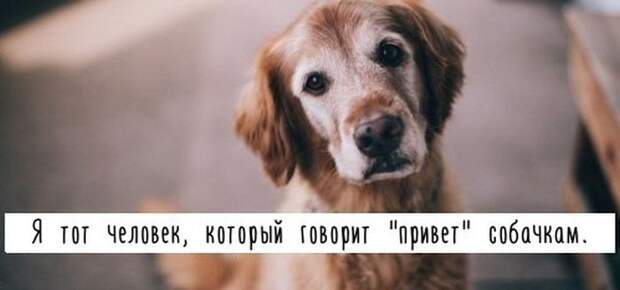 Прикольные картинки. Дневной выпуск (50 фото)
