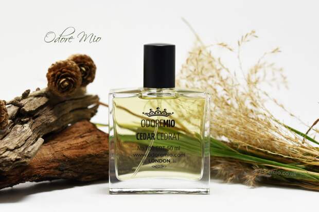 Odore-Mio-Cedar-Cedrat-Perfume-scaled