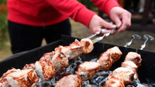 Диетолог Соломатина: употребление мяс в жару может привести к раку