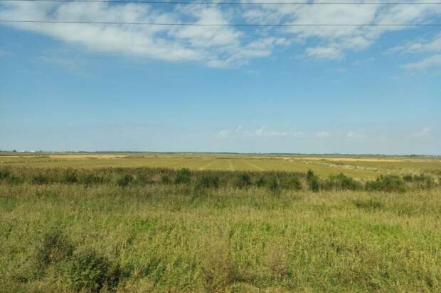 Практически в каждой третьей пробе почвы Приморья выявлены пестициды и тяжелые металлы