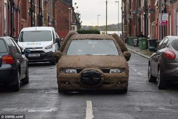 Парень превратил машину в пушистую собаку seat, авто, автоприкол, автотюнинг, прикол, собака, тюнинг, юмор