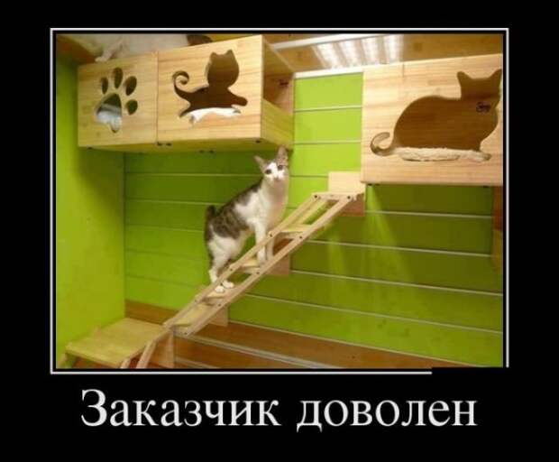 Заказчик доволен демотиватор, демотиваторы, жизненно, картинки, подборка, прикол, смех, юмор