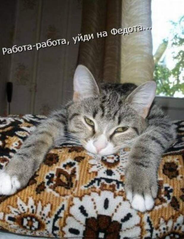 Прикольная котоматрица (22 шт)