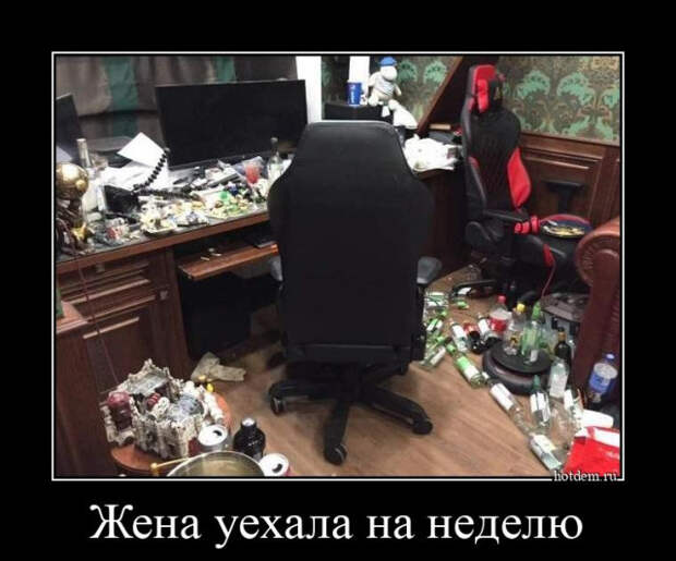 Свежих демотиваторов порция