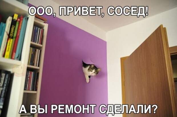 Новые фотомемы для хорошего настроения (27 шт)