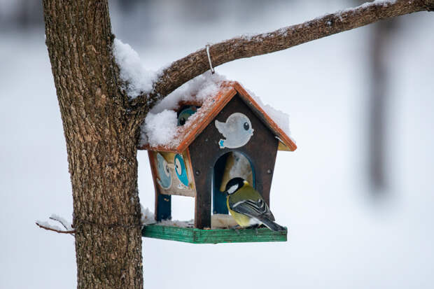 Туляков предупредили об аномальных морозах с 31 января по 4 февраля