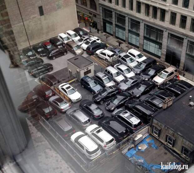 Приколы про парковку (45 фото)