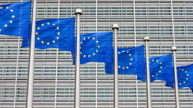 В ЕС заявили об отсутствии намерений направлять наблюдателей на референдум в Белоруссию