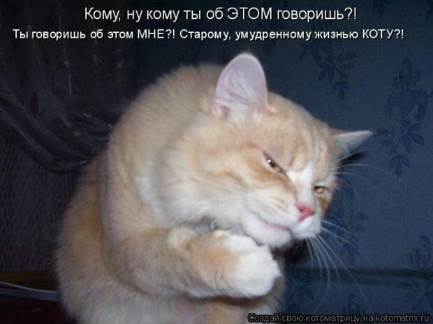 Мысли вслух :)