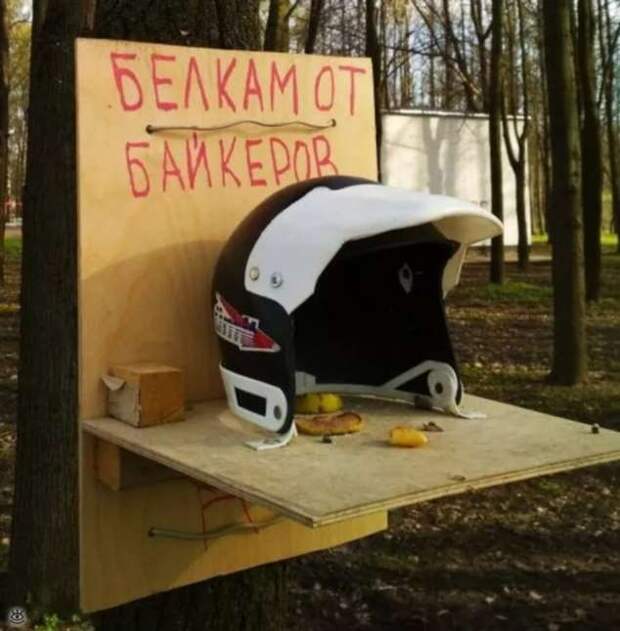 Прикольные вывески. Подборка chert-poberi-vv-chert-poberi-vv-24501211092020-16 картинка chert-poberi-vv-24501211092020-16