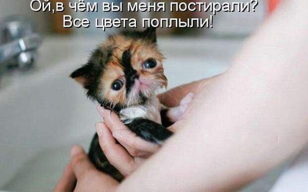 Мысли вслух :)