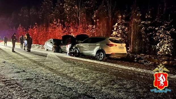 У погибшего на ивдельской трассе мужчины было 50 лет водительского стажа
