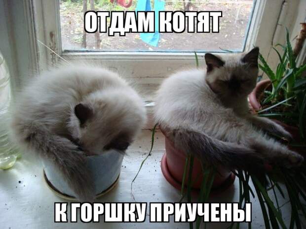 30 прикольных зарядов на всю неделю