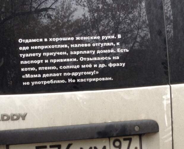 Объявление