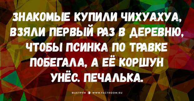 15 классных свежих анекдотов, от которых заплачете от смеха!