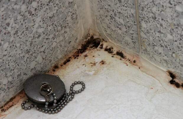 Почему в квартире появляется затхлый запах