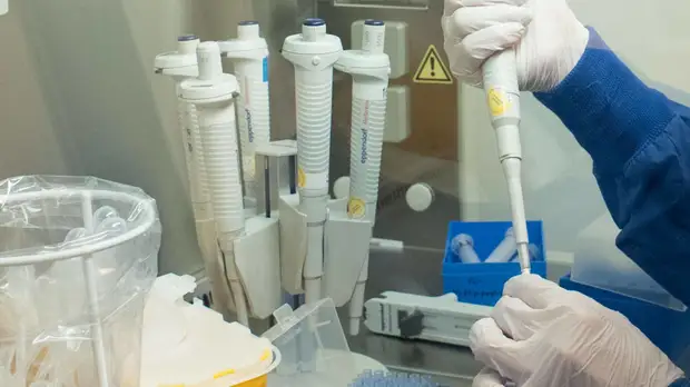 В Ставропольском крае отменили все международные фестивали из-за угрозы распространения коронавируса