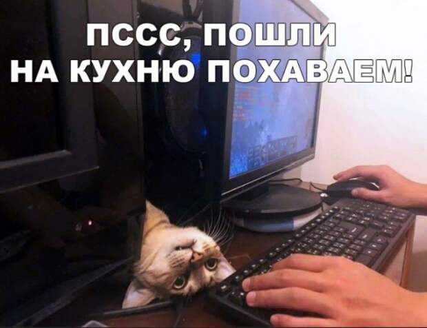 Подборка прикольных картинок
