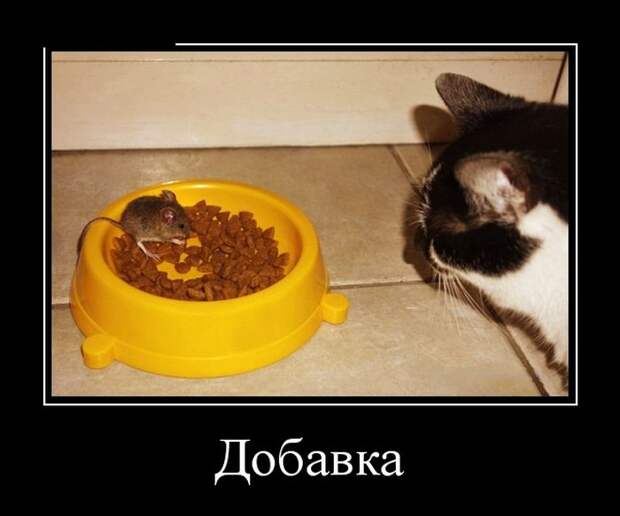 Демотиваторы Демотиваторы