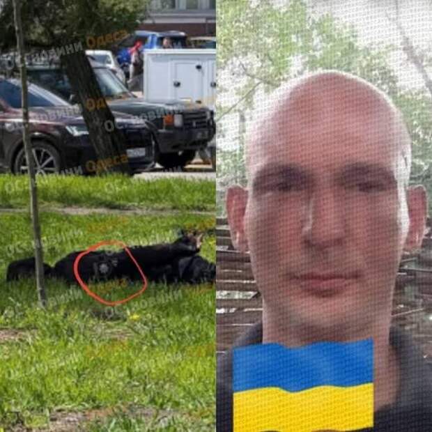 СБУ против ТЦК в Одессе: 2 серия