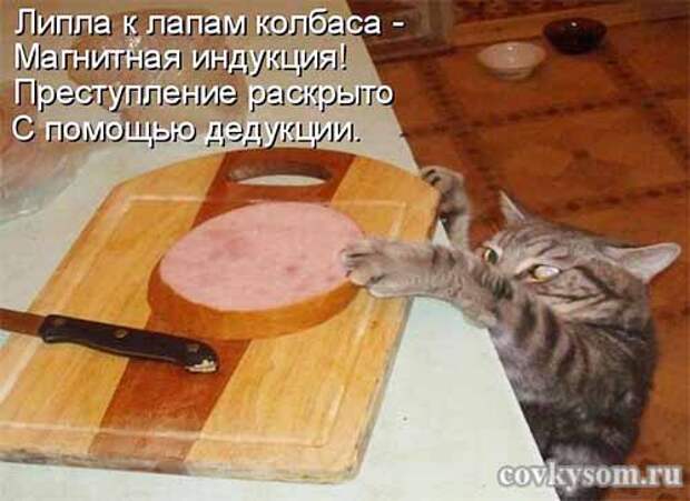 Кулинарный юмор