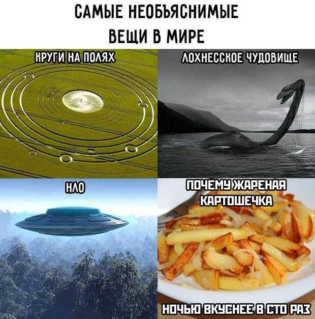 kartinok-prikolnyh-podborka-kartinki-smeshnye-kartinki-fotoprikoly
