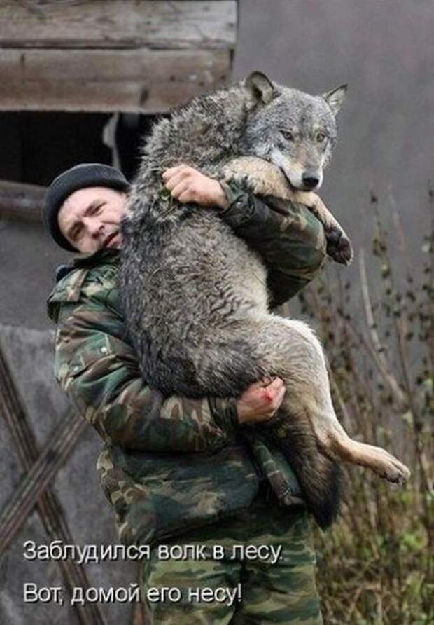 Хорошее настроение в прикольных фото и картинках (49 шт)