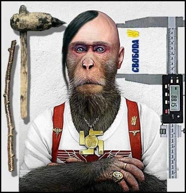 http://cs618627.vk.me/v618627907/ffc9/f5AR1QnhTgQ.jpg
