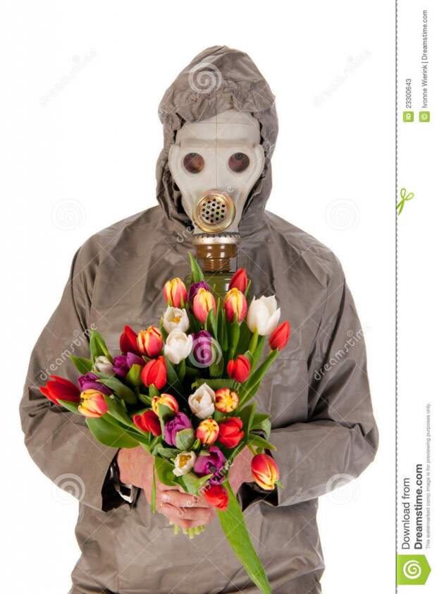 https://thumbs.dreamstime.com/z/%D0%BC%D0%B0%D1%81%D0%BA%D0%B0-%D1%87%D0%B5%D0%BB%D0%BE%D0%B2%D0%B5%D0%BA%D0%B0-%D0%B3%D0%B0%D0%B7%D0%B0-%D1%86%D0%B2%D0%B5%D1%82%D0%BA%D0%BE%D0%B2-23300643.jpg