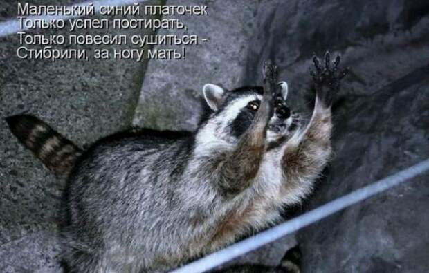 Мысли вслух :)
