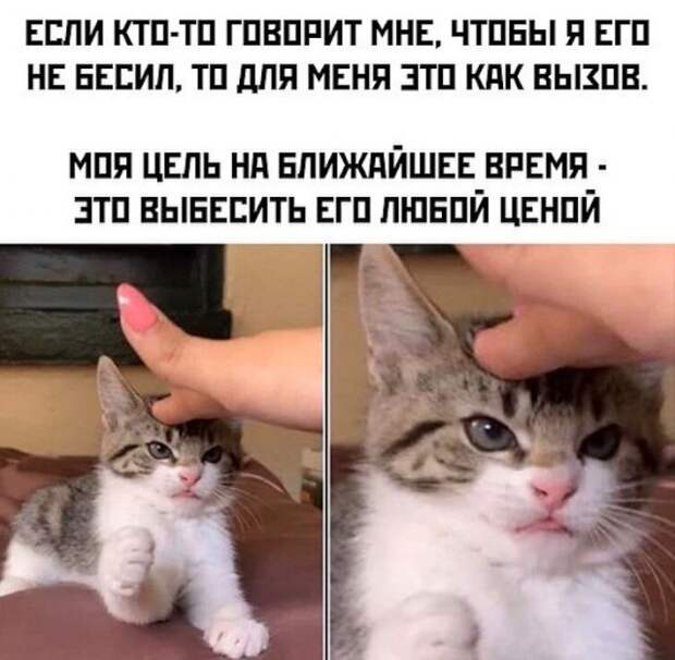 www.vsyako.net