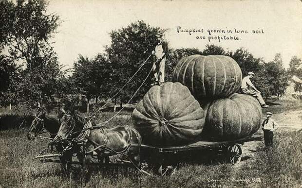 Фотошоп