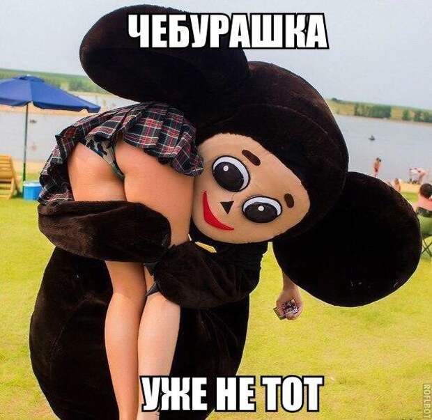Смешные картинки с надписями прикол, юмор