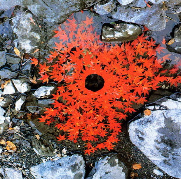 Природный арт Andy Goldsworthy Природный арт Andy Goldsworthy