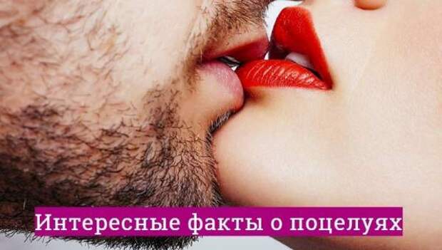 Интересные факты о поцелуях
