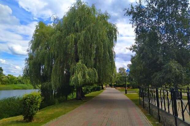 Погода в Тамбове на этой неделе будет неустойчивой