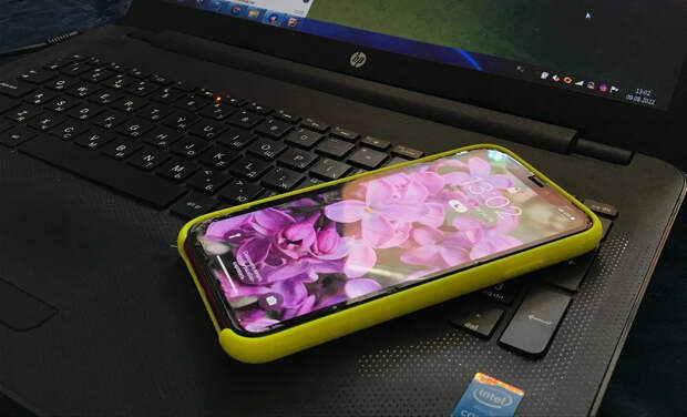 Юрист Хаминский: как защитить квартиру и кредиты от мошенников через "Госуслуги"