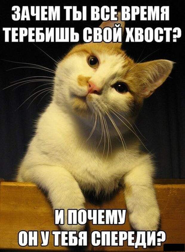 Прикольные картинки Прикольные картинки