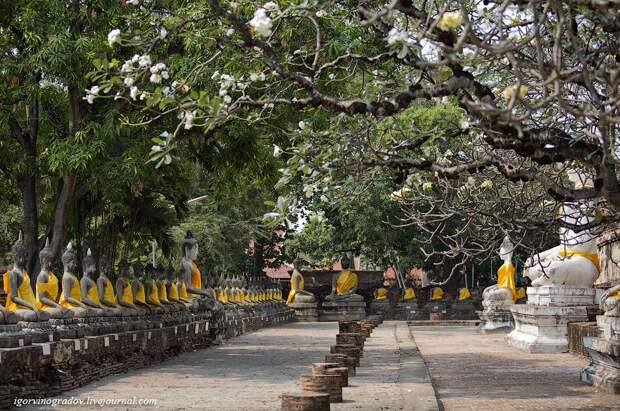 Wat Yai Chai Mongkhon