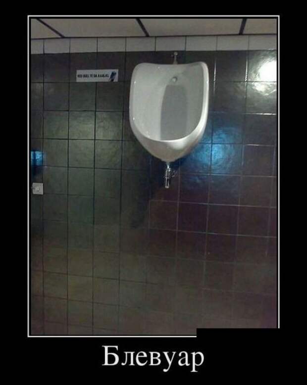 Демотиваторы (30 фото)